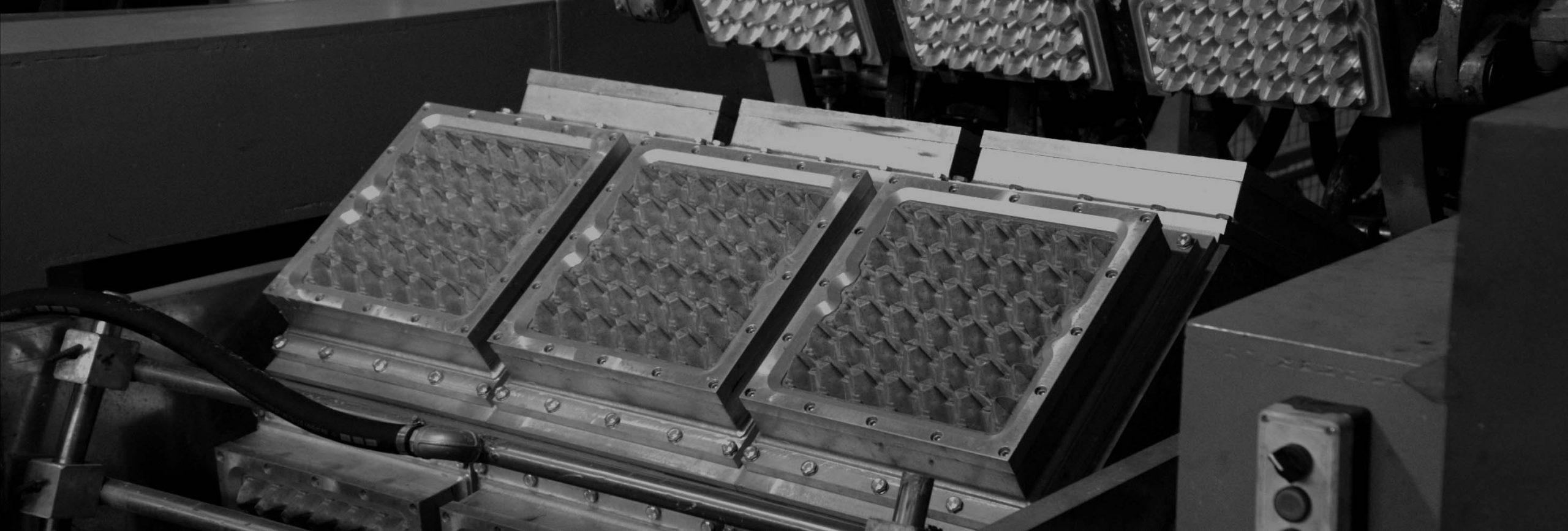 sustainable packaging company USA – Prosperity Ecopackaging